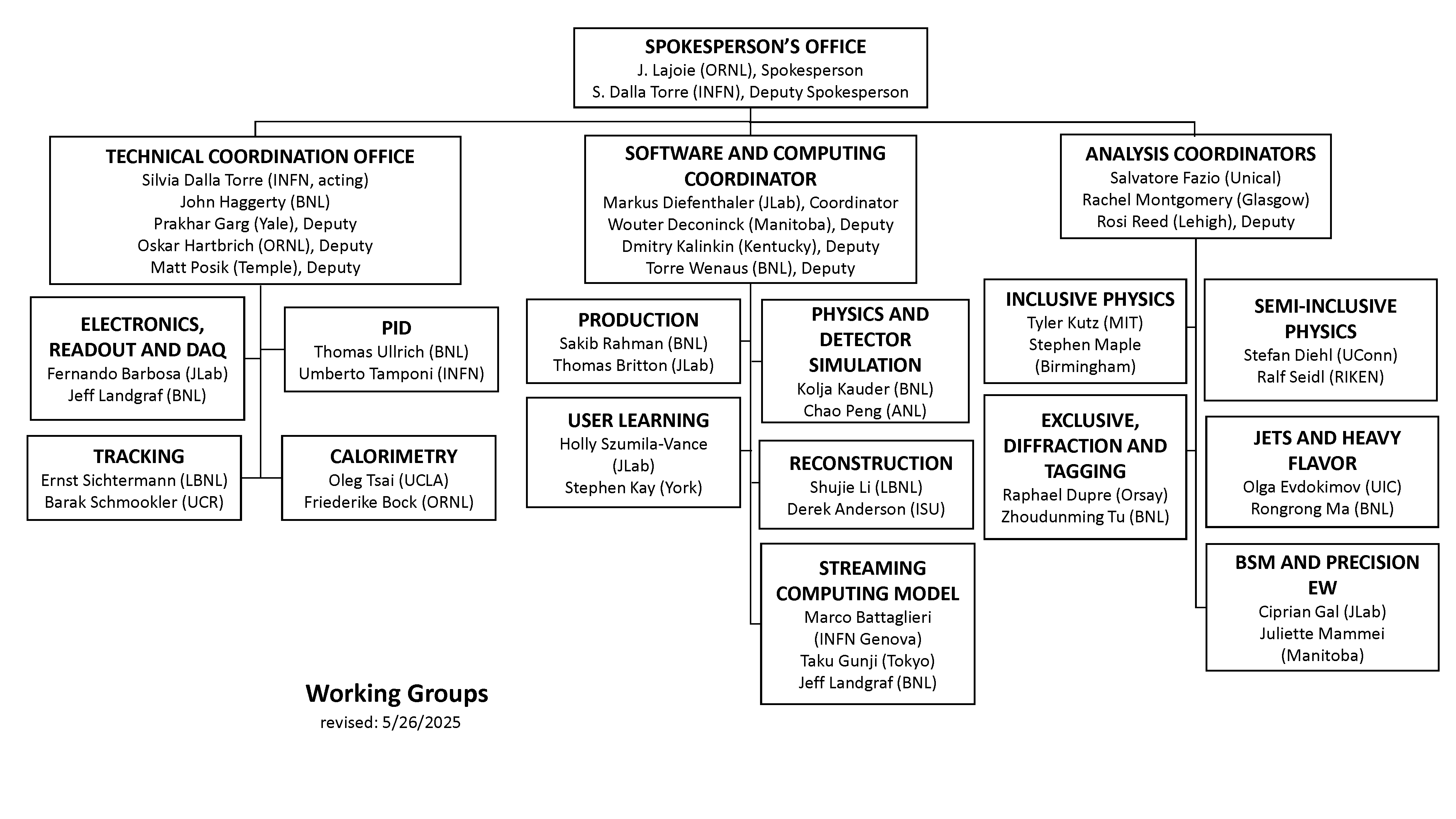 ePIC Working Groups